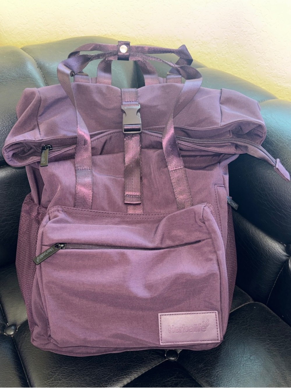 HLF Plum Purple Backpack with Water Bottle, Pin, Notebook, Pen Set